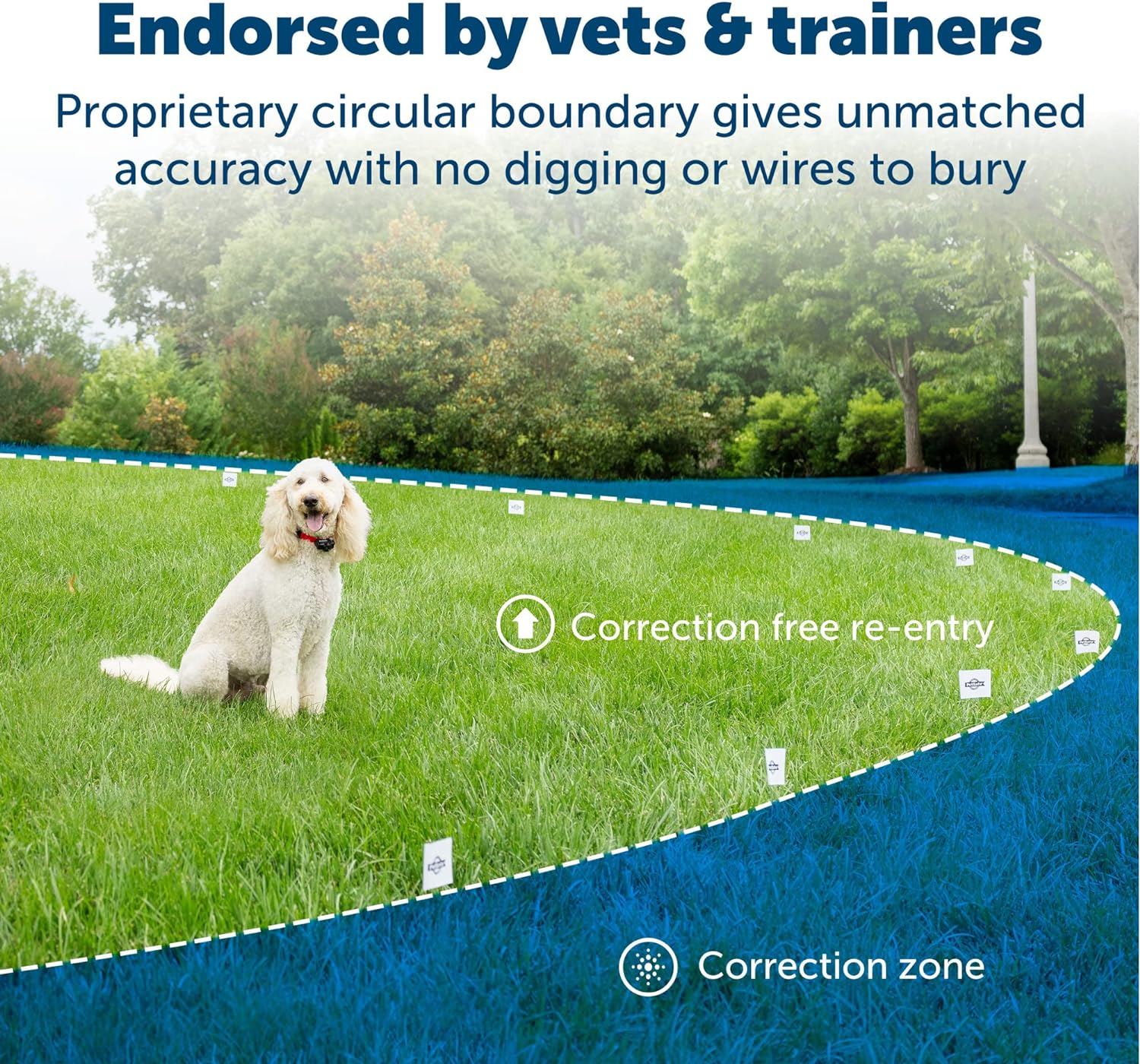 Invisible Dog Fence Solutions: Secure & Enhance Your Garden Pet Haven