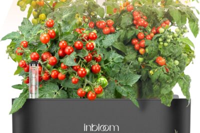 Compact Hydroponic Systems: Streamline & Maximize Garden Space